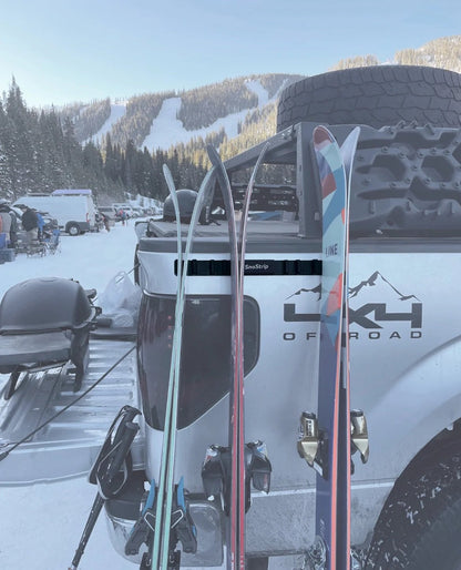 Rigstrips Magnetic SnoStrip Ski & Snowboard Car Paint Protector