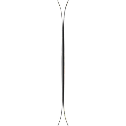 Atomic Bent 110 Skis
